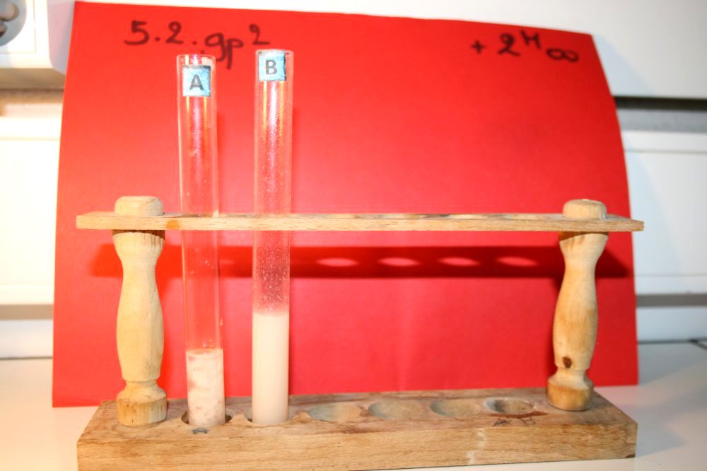 gal/LES_CINQUIEMES/ACTIVITE DIGESTION IN VITRO/Groupe_02/Groupe02_T_02h00min/Groupe02_temps02H00min_18.jpg